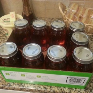 Mmm my home made apple pie moonshine is done.
