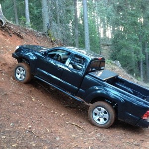Couldn't climb any higher :(