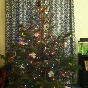 Merry Christmas TW.