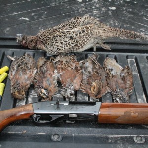 Great day in the woods!!