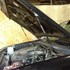 redline hood struts