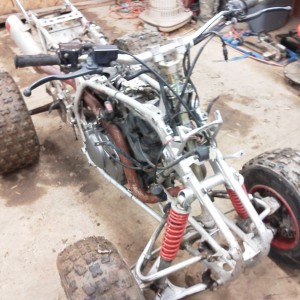 Update on warrior project