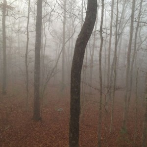 Little foggy this mornin