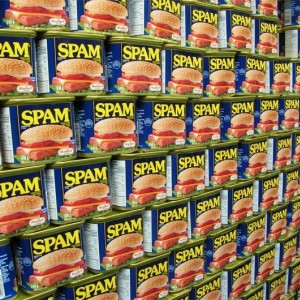 trackback-spam_1_
