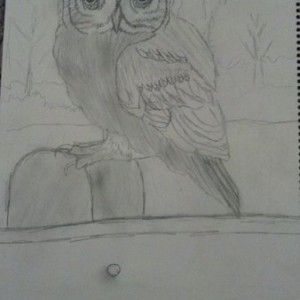 10 year old brother just drew this in about fifteen minutes. I have some pr