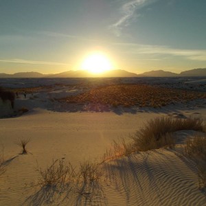 NM Trip