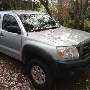 Anointed in flower petals (not my doing)
