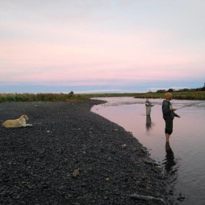 Kodiak, Ak