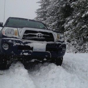 snow36