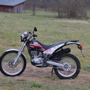 2001 Beta Alp