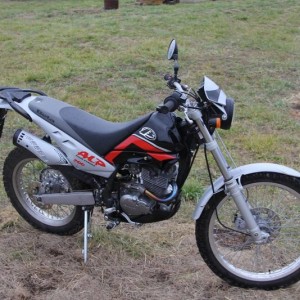 2001 Beta Alp
