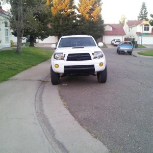 Tacoma grill