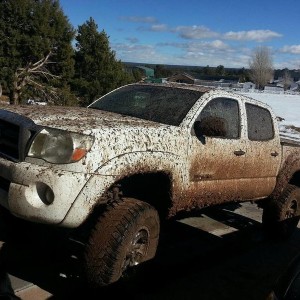 mudding in the snow