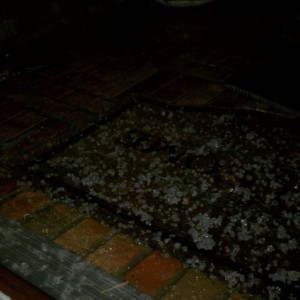 I don't recall ever having hail in December