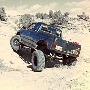 flex19
