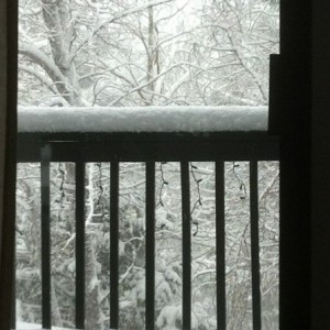 I think I'll just stay inside for now