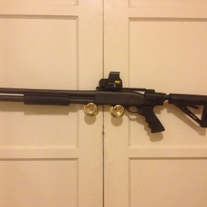 Won this eBay Mesa Tacticool high tube adapter with magpul stock and Eotech