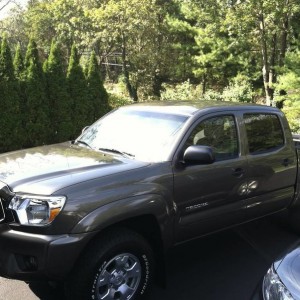 My new Taco in Pirite Mica