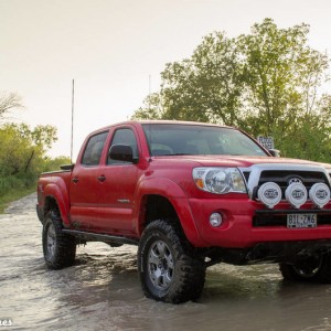 taco