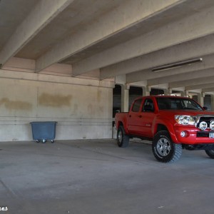 taco