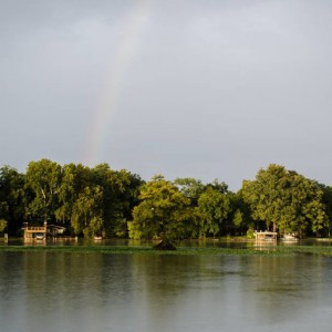 lakelife