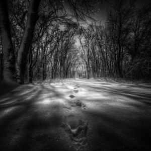 snow37