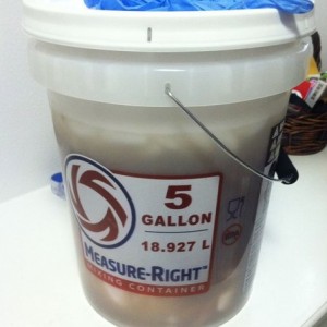 Turkey is brining!