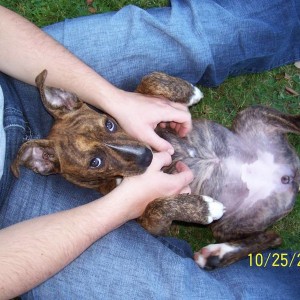 Picture_1861