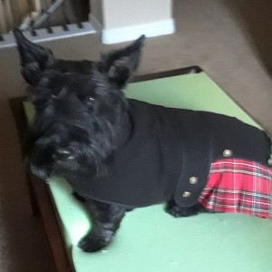 Kilted Fergus