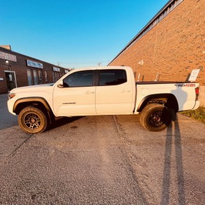 Freshtint