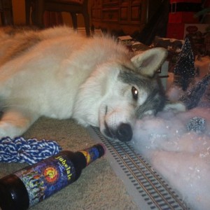 Party hard dog, party hard.