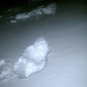 Lisa, I need to borrow some snow shoes, stat!