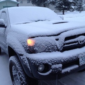 Christmas snow!