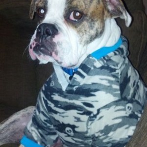 Bruce just loves his new hoodie.