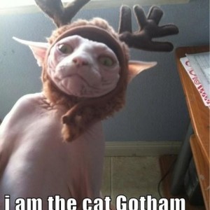 gotham