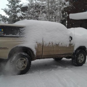 Snowy Taco