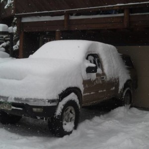 Snowy Taco