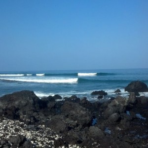 Meanwhile; in hawaii
