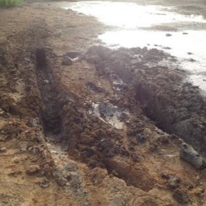 Image_7