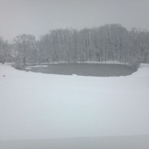 Plenty of the white stuff today