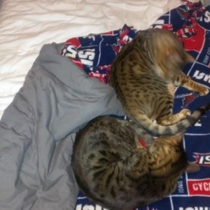 I can't even lay on my own bed when I come home to visit now.
