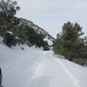 Trail run 12/29/12