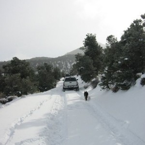 Trail run 12/29/12