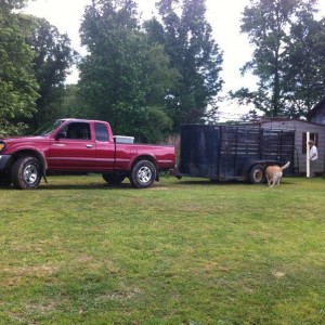 Tacoma Pics