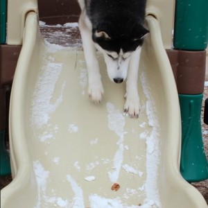 Glacier Reese slide