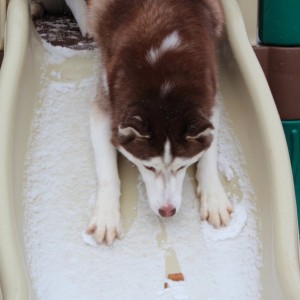 Glacier Reese slide