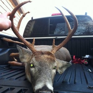 old swamp buck last day of archery