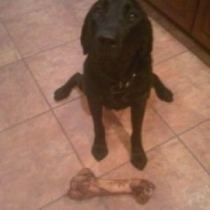 Pweeeease?