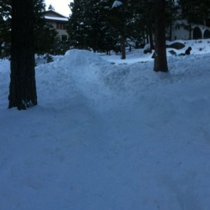 Backyard drop in!!!!