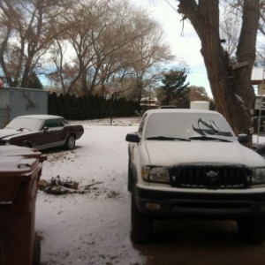 Finally! A dusting of tits that'll be melted before noon.